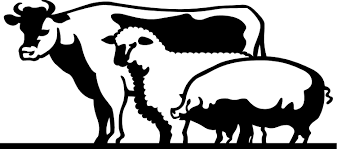 MitoGen high end livestock fertility for animal reproduction and genetics